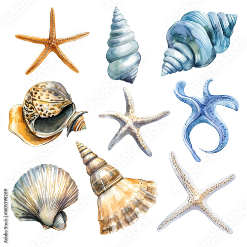 My Watercolor hand-painted collection with nautical elements sea shell illustration isolated on a white background, vector illustration, AI painting design, EPS format design. vector illustration