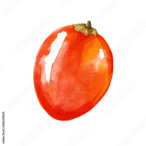 My Watercolor hand-painted Cornelian Cherry with leaf painting illustration isolated on a white background, vector illustration, AI painting design, EPS format design. vector illustration