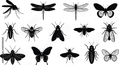 Cad drawing flat vector illustration of insect silhouettes, diverse species in grid layout, wings, antennae, entomology icons, nature study