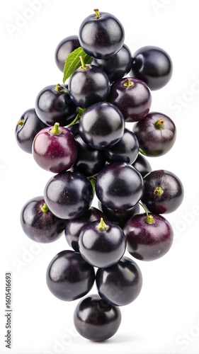 A close up shot of a pile of beautiful ripe muscadine grapes