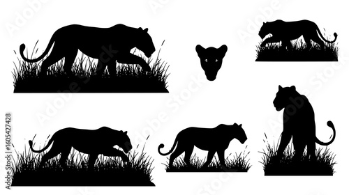 Set of black panther and leopard silhouettes in various poses and environments, isolated on white background