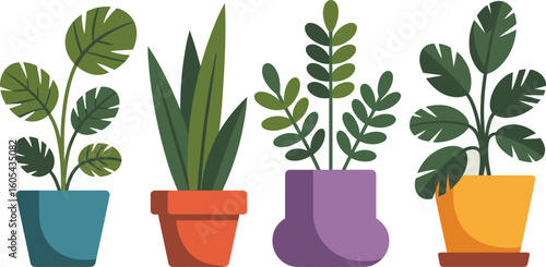 Collection of houseplant vector in various pots ideal for home decor and botanical designs
