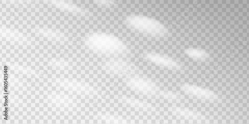 Sunlight and leaf shadows form a soft pattern on a grey wall. Blurred foliage and nature inspired overlay shape a serene scene. Ideal backdrop for clean product display.