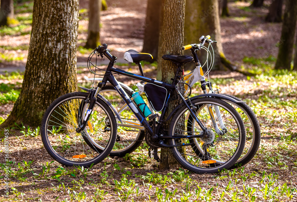 Fototapeta premium Two bicycles are standing on the summer park