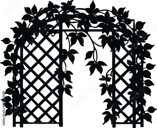 Silhouette of Vines on Trellis, Climbing plant silhouette
