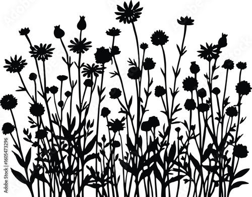 Silhouette of Wildflower Field, Colorful bloom silhouette
