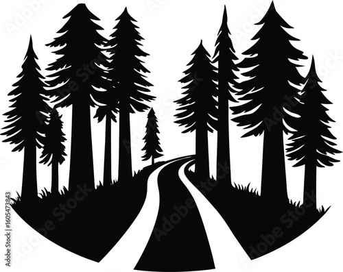 Silhouette of Tall Redwoods Path, Giant trees silhouette