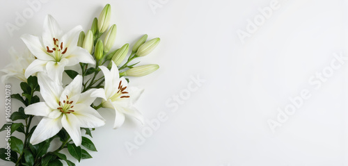 Elegant white lilies with green leaves, buds displayed on clean white background. Pristine beauty signifies purity, remembrance. Floral arrangement perfect for sympathy cards, funeral announcements,