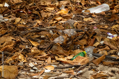Wooded area near the beach with plastic waste and other debris