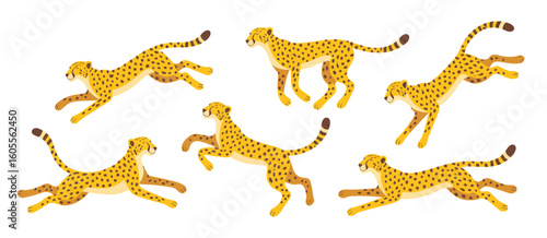 Collection of six playful cheetahs in various dynamic poses