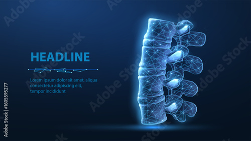 3d spine vector on blue background. Chiropractic care, spinal cord, orthopedic surgery.