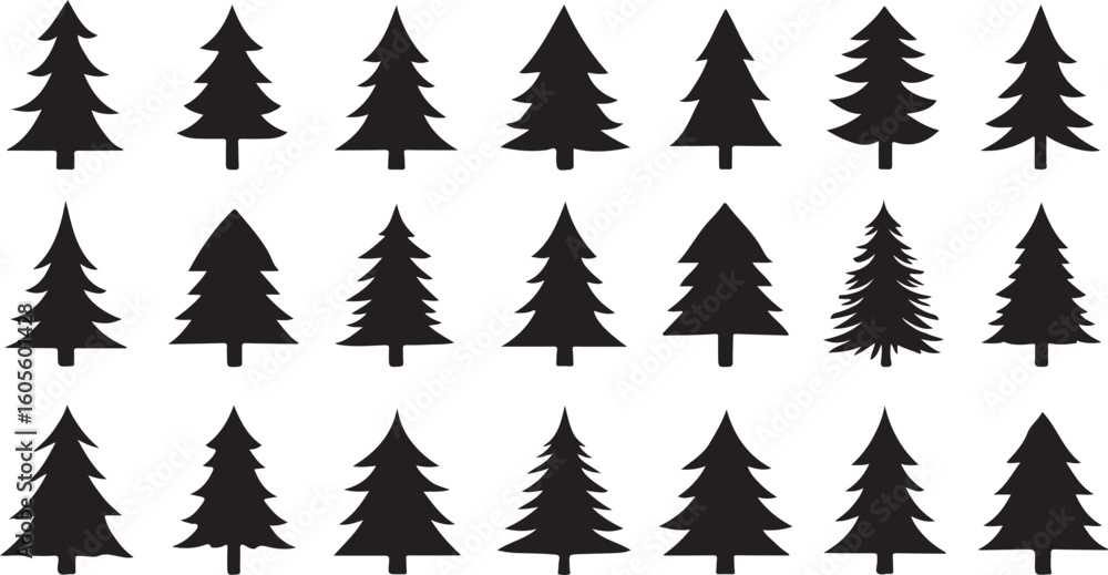Obraz premium Black evergreen tree silhouettes pine