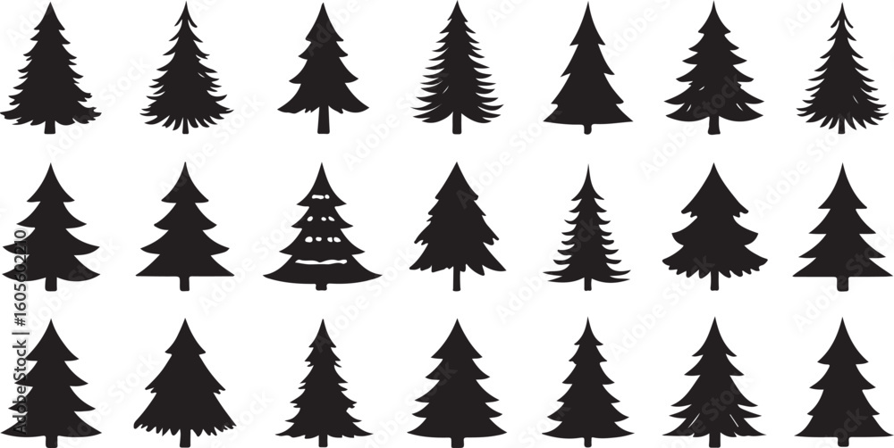 Obraz premium Evergreen silhouettes various shapes evergreen trees pine trees