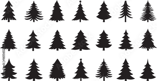 Evergreen silhouettes various styles christmas trees pine trees