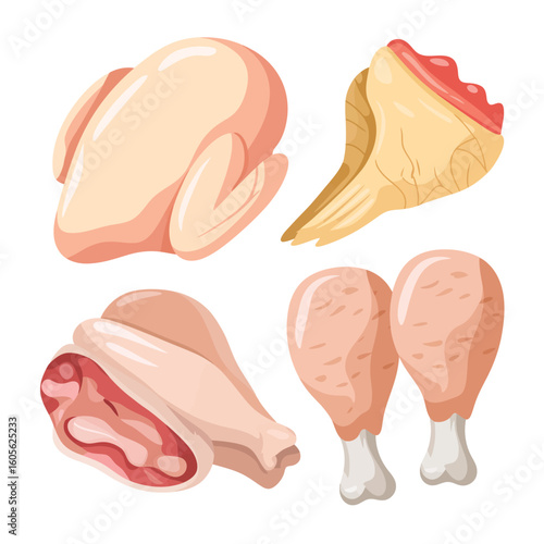 Collection of raw chicken cuts isolated on white background