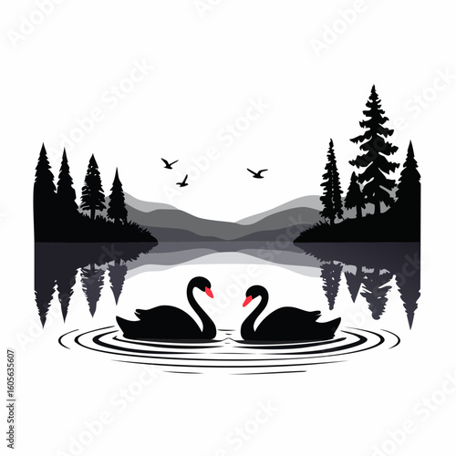 Two elegant swans swim in a serene lake surrounded by forest trees