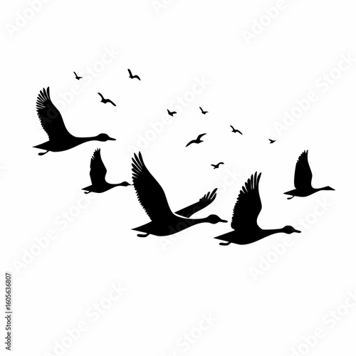 Silhouette of flying birds flock migration in the sky vector illustration