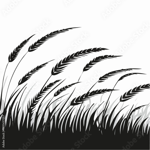 Black silhouette of wheat field blowing in wind on a white background