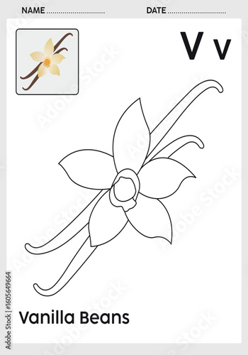 Alphabet Tracing and Fruit Coloring Book for Kids – A to Z Letter Practice with Matching Vanilla Bean Fruit – Educational Preschool Activity Pages.
