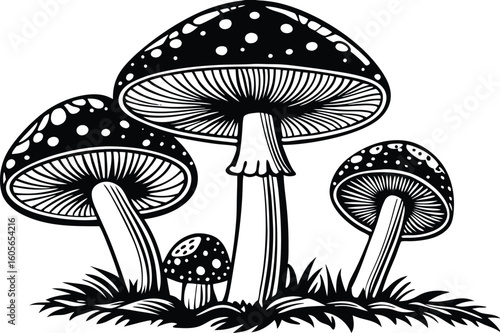 Stylized black and white illustration of four fly agaric mushrooms growing in grass isolated on transparent background