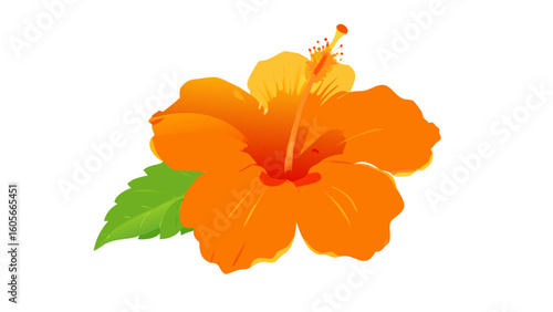 orange flower 