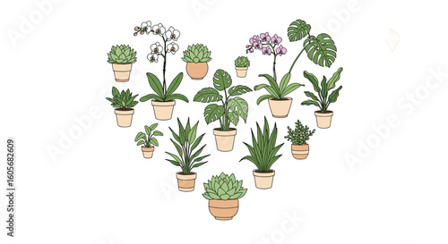 A beautiful heart shaped arrangement of various potted houseplants
