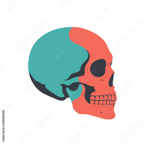 Stylized Skull Side View, Vibrant Colors, Modern Graphic Art. Design, Identity, Rebellion. For Apparel, Posters, Music Industry, Branding