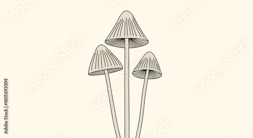 Three tall delicate mushroom caps growing upwards on thin stems with detailed patterns