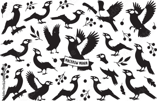 Vector illustration of black and white magpies silhouettes and botanical elements with mackrow mania
