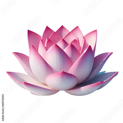 Cutout lotus flower on transparent background