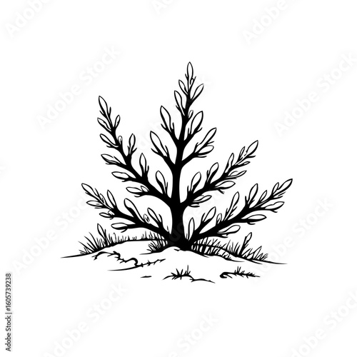Elegant botanical drawing of a stylized plant showcasing nature's beauty with artistic sophistication and minimalist design