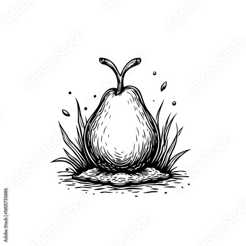 Monochrome illustration of a pear with leaves and grass showcasing fruit agriculture and simplicity in design
