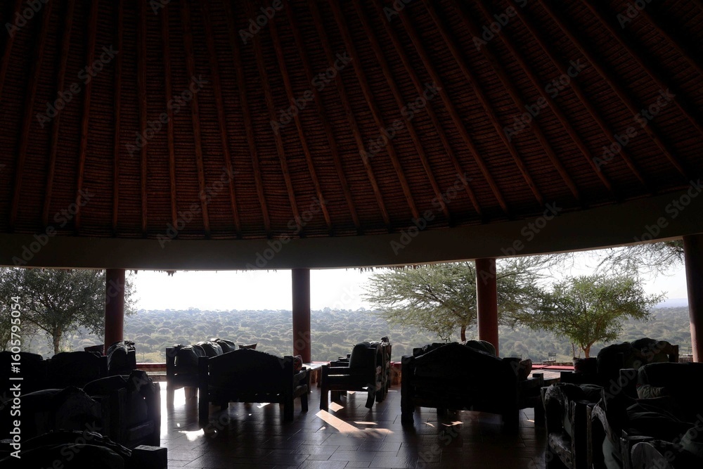 Fototapeta premium A relaxing space overlooking the forest