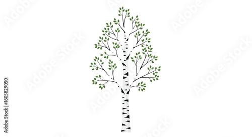 Stylized birch tree illustration against a plain background highlighting simple graphic representation 153 characters
