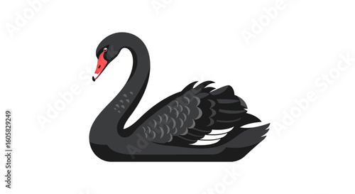 Elegant black swan illustration with graceful lines and vibrant red beak on a pristine white backdrop emphasizing the swan's sleek aesthetic