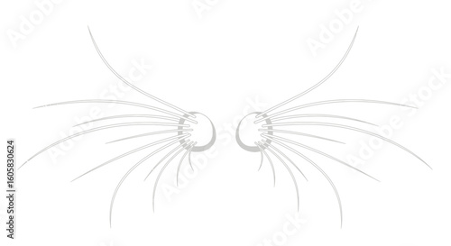 Elegant Whispers: A Delicate Abstract Depiction of Symmetry and Grace, Radiating from Central Orbs towards Ethereal Realms