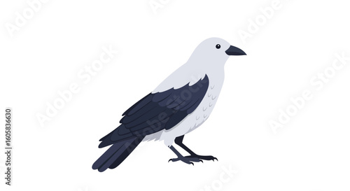Isolated jackdaw illustration against a white backdrop, a charming avian illustration depicting a jackdaw standing, its distinctive plumage and
