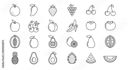 A collection of 24 outline drawings of various fruits, including apples, bananas, grapes, cherries, and tropical fruits, arranged in rows.