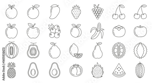 A line art illustration showcasing a diverse collection of fruits, including berries, tropical fruits, and common varieties, arranged in a neat grid.