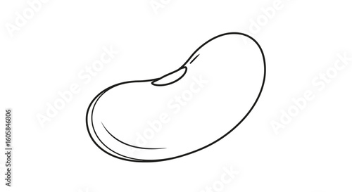 Minimalist Bean Illustration: A Single Black Outline on a White Background Simple Elegance
