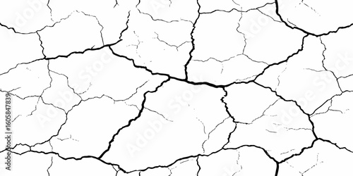white surface with a network of black cracks across the surface area.