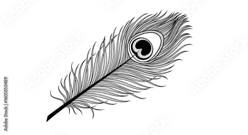 Intricate Peacock Feather Sketch, Black and White Elegance, Detailed Quill Drawing, Nature Inspired Artistic Element