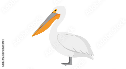 Elegant illustration showcasing a standing pelican with white plumage and a prominent orange beak a captivating wildlife depiction