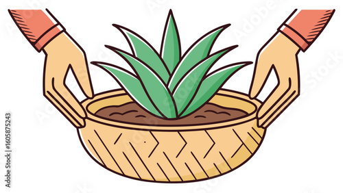 Editorial style scene showing a gardener’s hands potting miniature aloe vera in a rustic ceramic bowl.