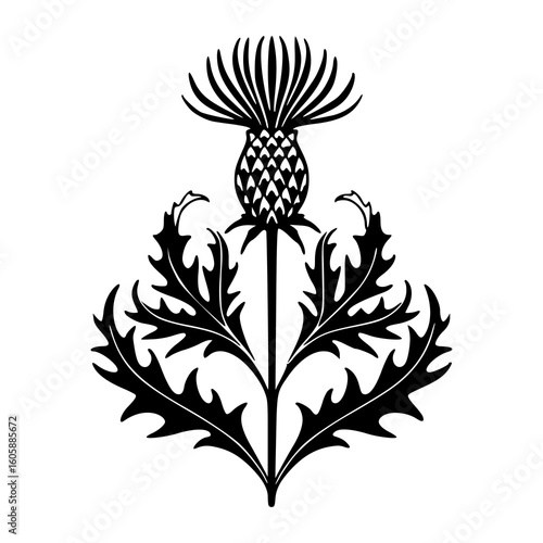 floral thistle symbol  vector art