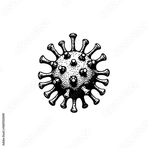 Detailed single coronavirus sketch illustration representing medical research and virology science symbol for global pandemic
