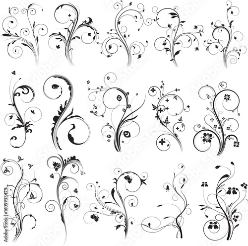 Photography Abstract floral design elements: A decorative vector art set featuring ornate bl