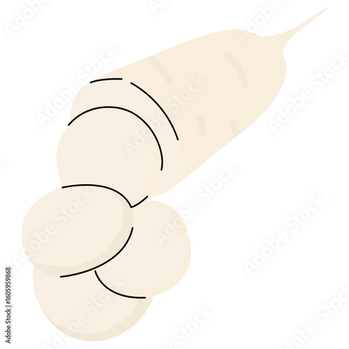White Radish. Sliced Japanese Daikon radish. Spicy root vegetables. Farm products. Harvesting. For food recipes, Asian cuisine, menus, advertising, banners, farmers' markets, healthy eating