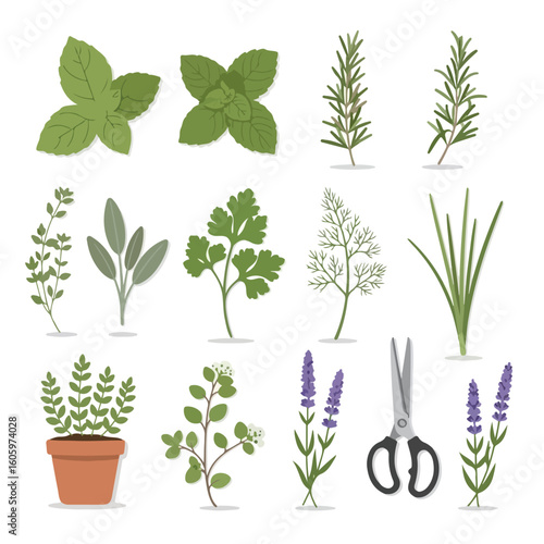 Fresh herbs and lavender for cooking and home decor, vibrant and modern design