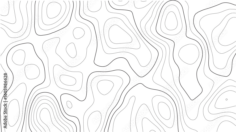 Fototapeta premium Topography map pattern vector with abstract elevation contours and seamless white terrain grid texture for landscape design and outdoor graphics